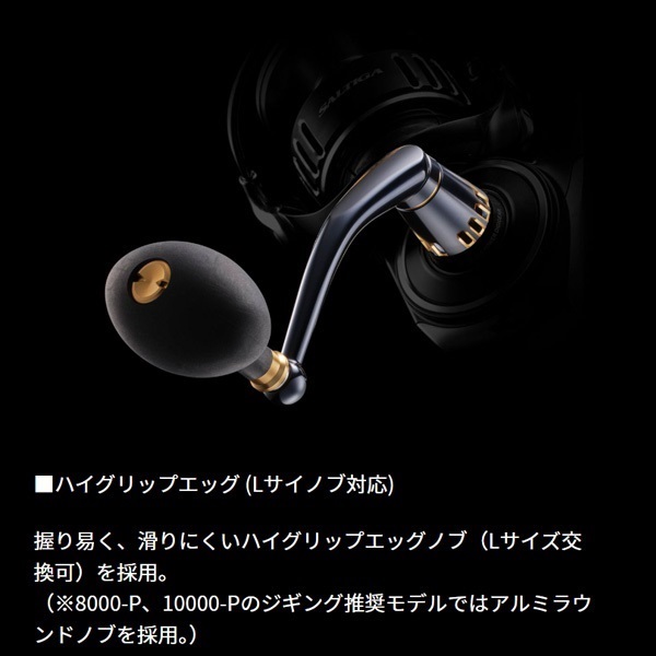 25ソルティガ